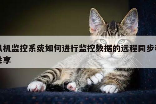 风机监控系统如何进行监控数据的远程同步和共享