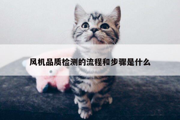 风机品质检测的流程和步骤是什么