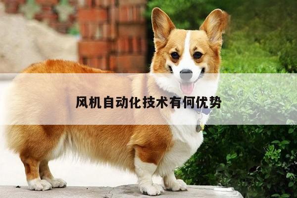 风机自动化技术有何优势