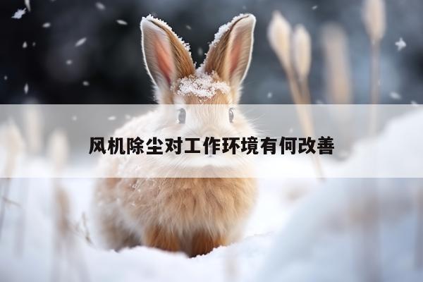 风机除尘对工作环境有何改善