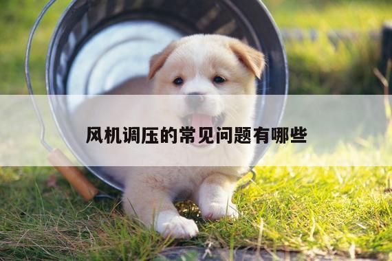 风机调压的常见问题有哪些