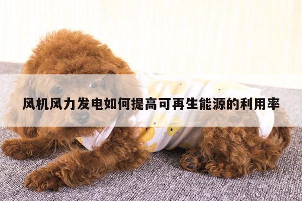 风机风力发电如何提高可再生能源的利用率