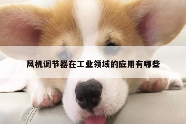 风机调节器在工业领域的应用有哪些