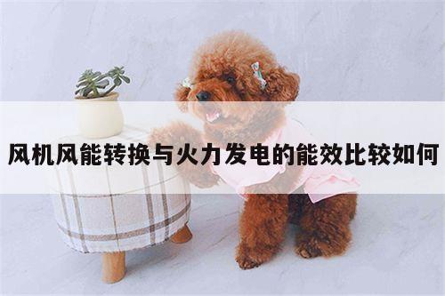 风机风能转换与火力发电的能效比较如何