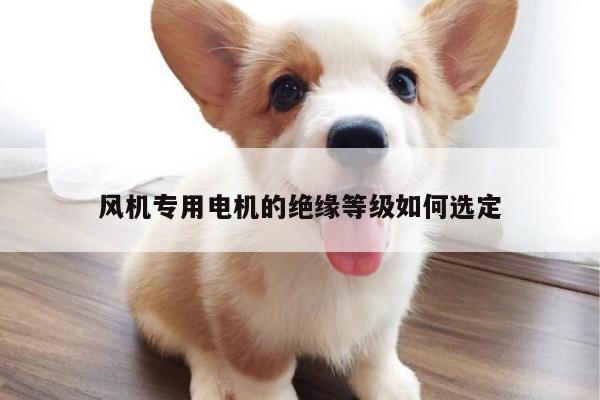 风机专用电机的绝缘等级如何选定