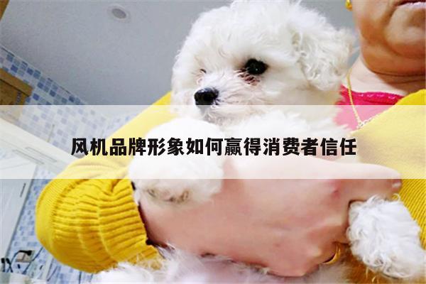 风机品牌形象如何赢得消费者信任