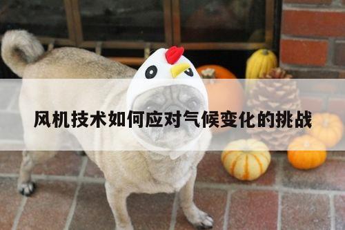 风机技术如何应对气候变化的挑战