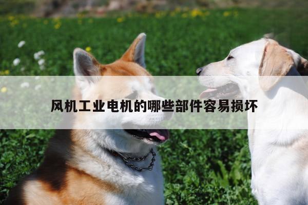 风机工业电机的哪些部件容易损坏