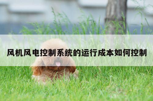 风机风电控制系统的运行成本如何控制