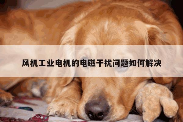 风机工业电机的电磁干扰问题如何解决