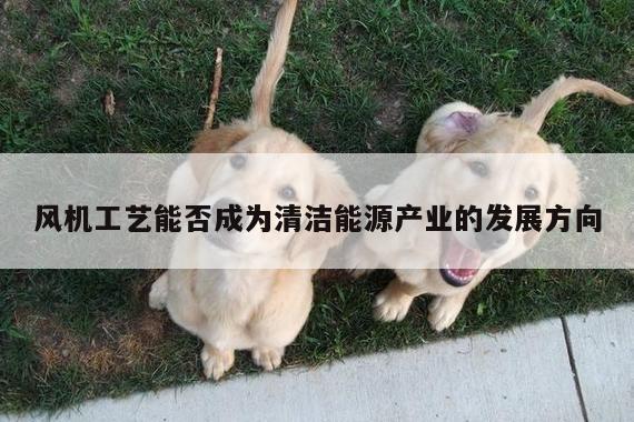 风机工艺能否成为清洁能源产业的发展方向