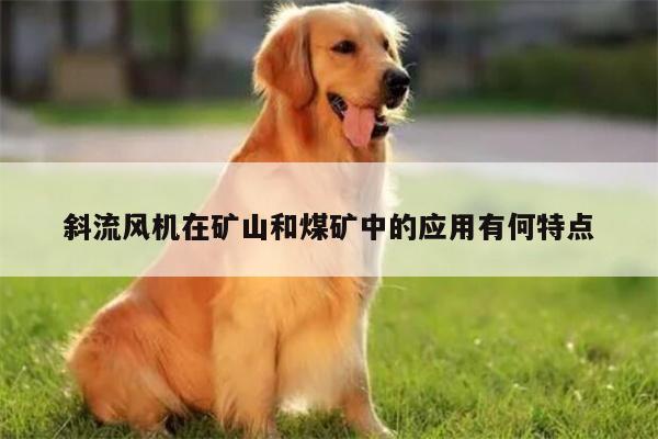 斜流风机在矿山和煤矿中的应用有何特点