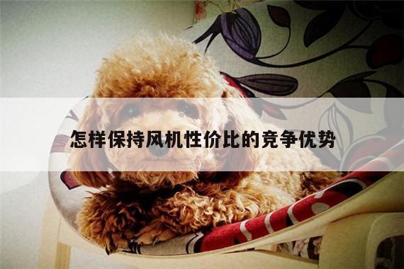 怎样保持风机性价比的竞争优势