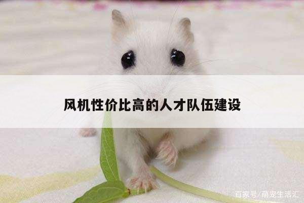 风机性价比高的人才队伍建设
