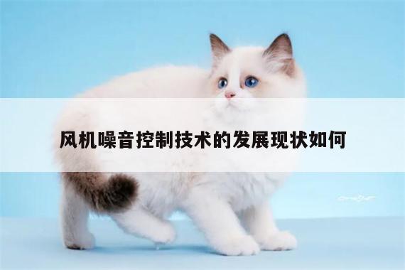 风机噪音控制技术的发展现状如何