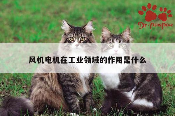 风机电机在工业领域的作用是什么