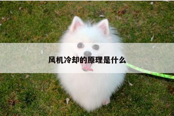 风机冷却的原理是什么