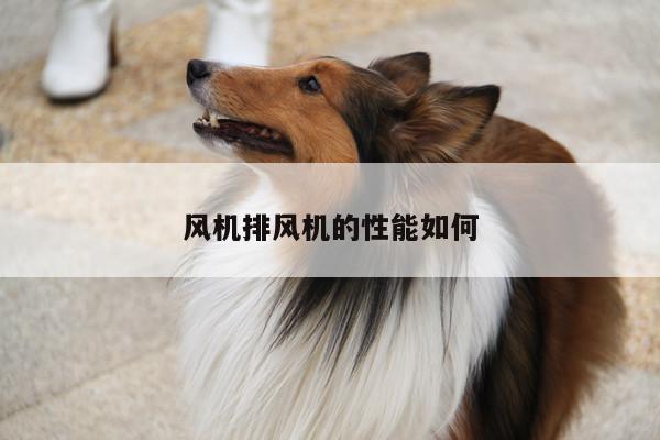 风机排风机的性能如何