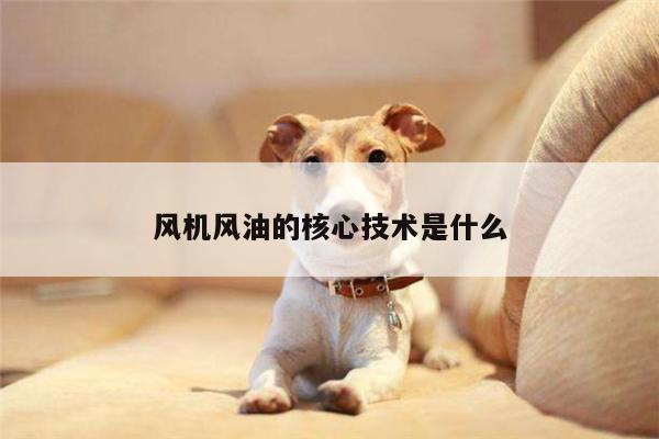风机风油的核心技术是什么