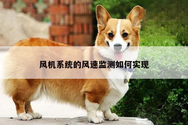 风机系统的风速监测如何实现