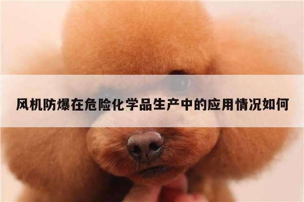 风机防爆在危险化学品生产中的应用情况如何