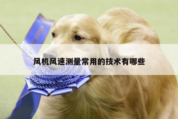风机风速测量常用的技术有哪些