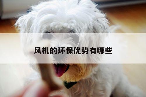风机的环保优势有哪些