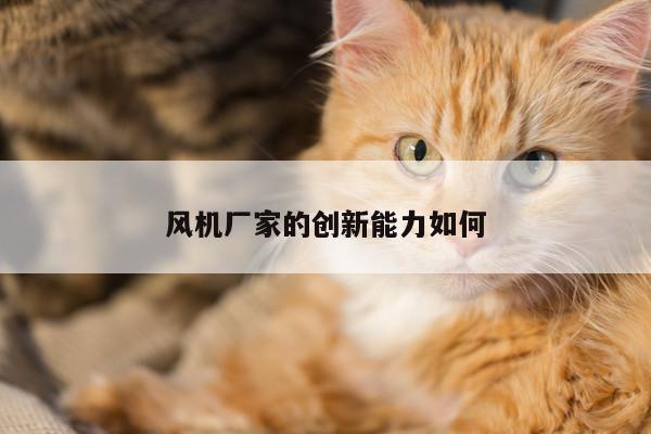 风机厂家的创新能力如何