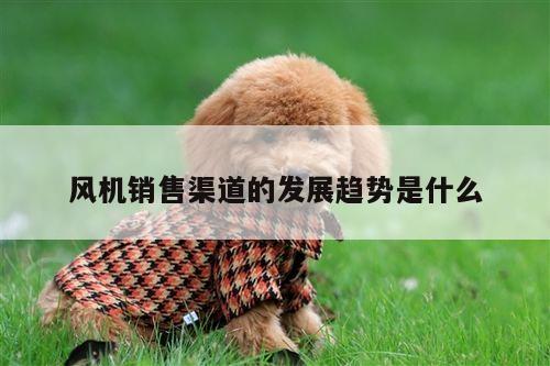 风机销售渠道的发展趋势是什么