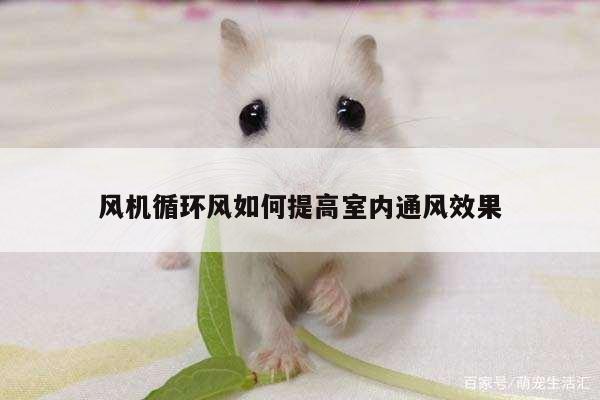 风机循环风如何提高室内通风效果