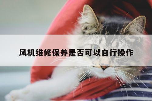 风机维修保养是否可以自行操作