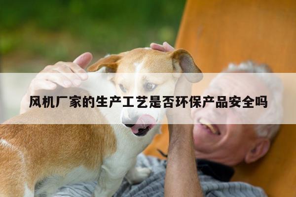风机厂家的生产工艺是否环保产品安全吗