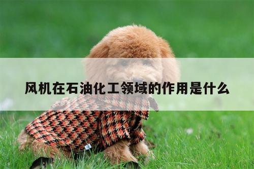 风机在石油化工领域的作用是什么