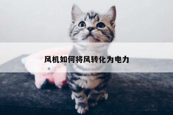 风机如何将风转化为电力