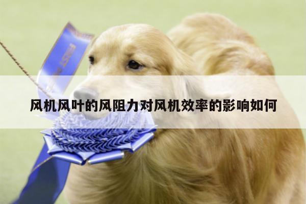 风机风叶的风阻力对风机效率的影响如何
